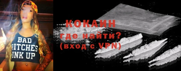 гашик Богданович