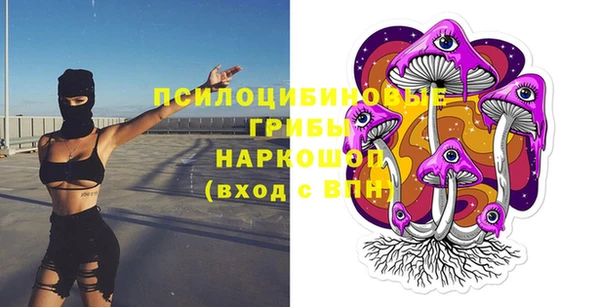 прущие крисы Бородино