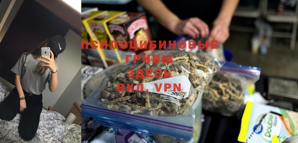 гашик Богданович