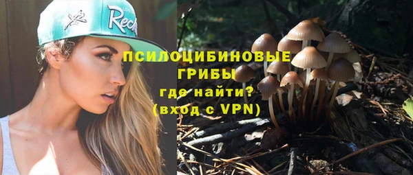 прущие крисы Бородино