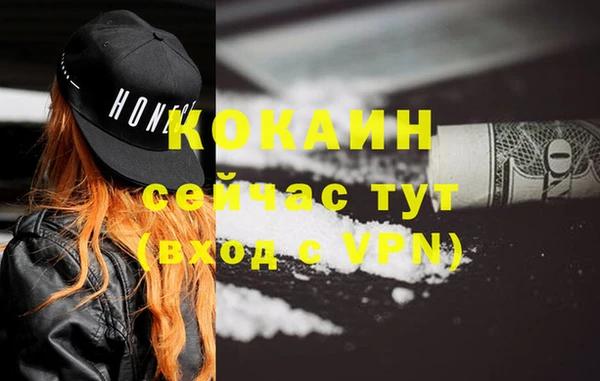 гашик Богданович