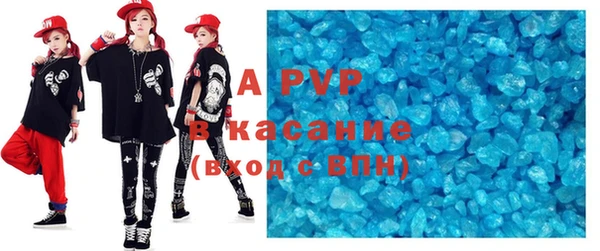 гашик Богданович