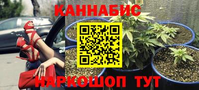 бошки Котовск