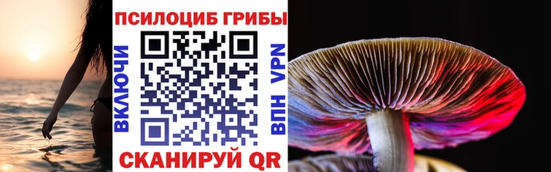 Псилоцибиновые грибы Cubensis  OMG зеркало  Кузнецк 