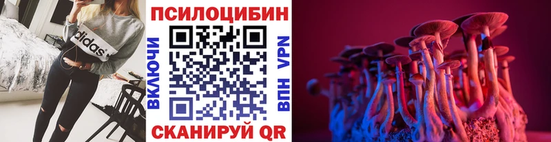 Галлюциногенные грибы мицелий Кузнецк
