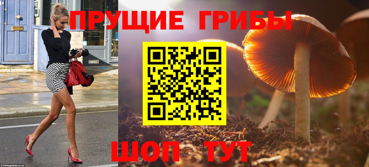 цены   Вход с VPN  Кузнецк  Псилоцибиновые грибы прущие грибы 