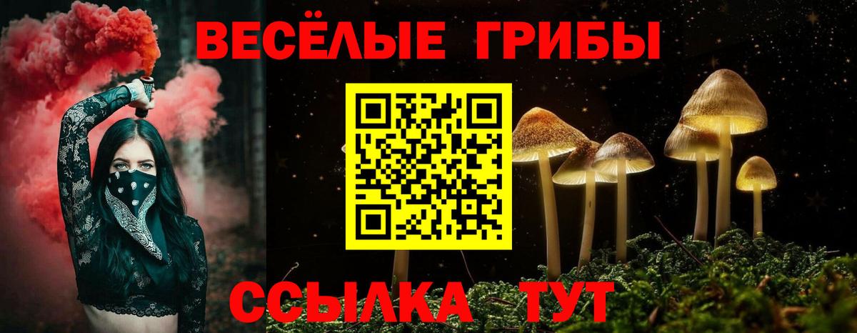 Галлюциногенные грибы мицелий Кузнецк